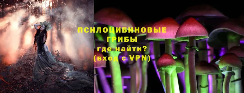 Псилоцибиновые грибы мухоморы  mega ссылки  Соликамск 